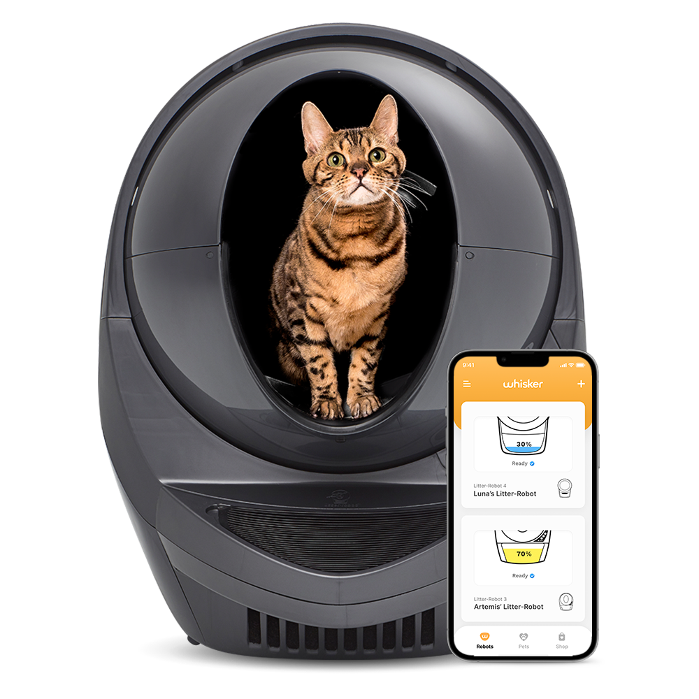 5 Best Automatic Self-Cleaning Litter Boxes for Cats