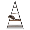 Cat Pyramid