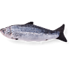 Refillable Catnip Salmon | Top View