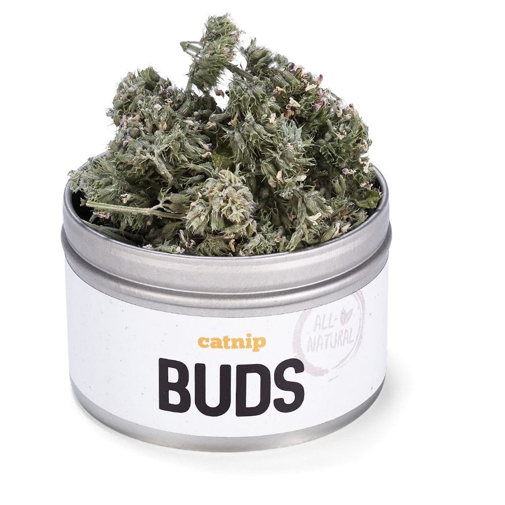 Catnip Buds