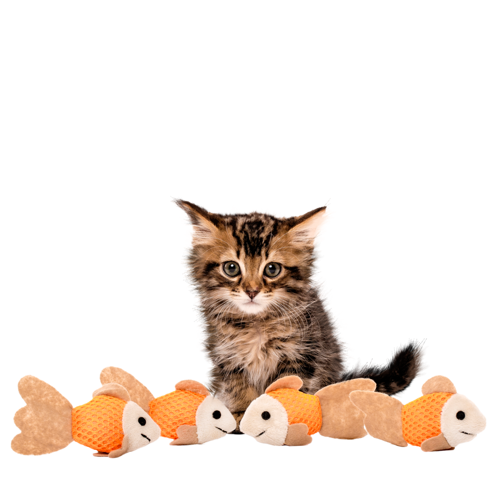 cat aquarium toy