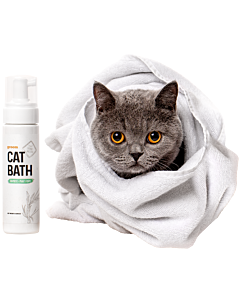 Cat Bath | Cat