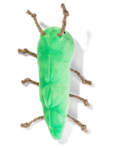 Krinkle Caterpillar  | Top View