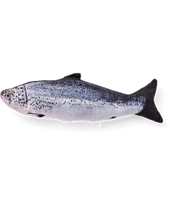 Refillable Catnip Salmon | Top View