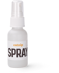 Catnip: Spray | Front View