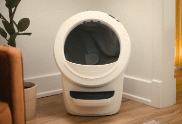 A Litter-Robot 4 in a room.