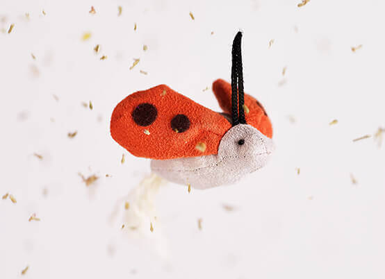 Refillable Catnip Ladybug Details
