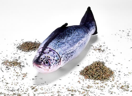 Refillable Catnip Salmon Details