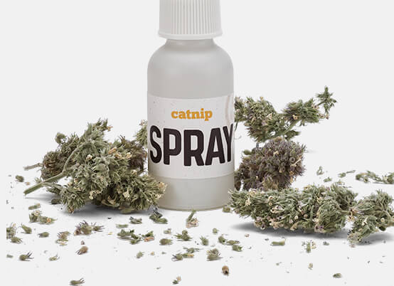 Catnip: Spray Details