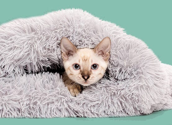 Krinkle Furry Cat Sac Details