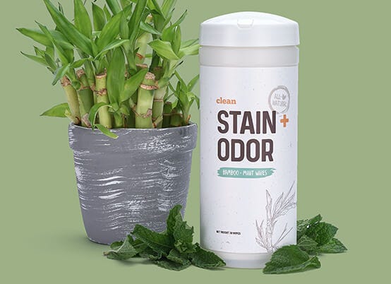 Stain + Odor Wipes Details